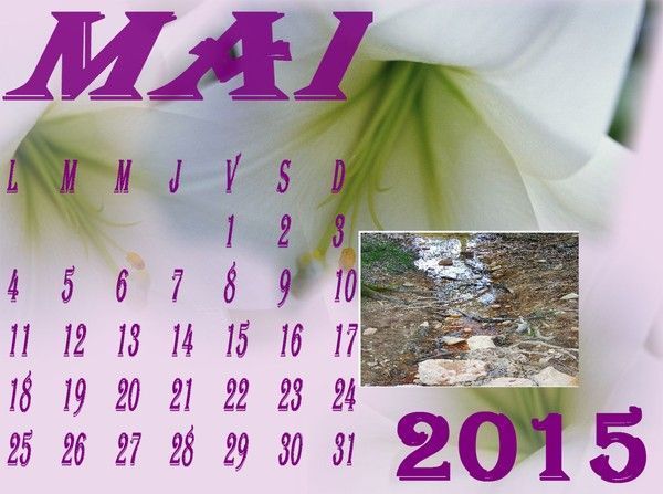                      M  A  I  
